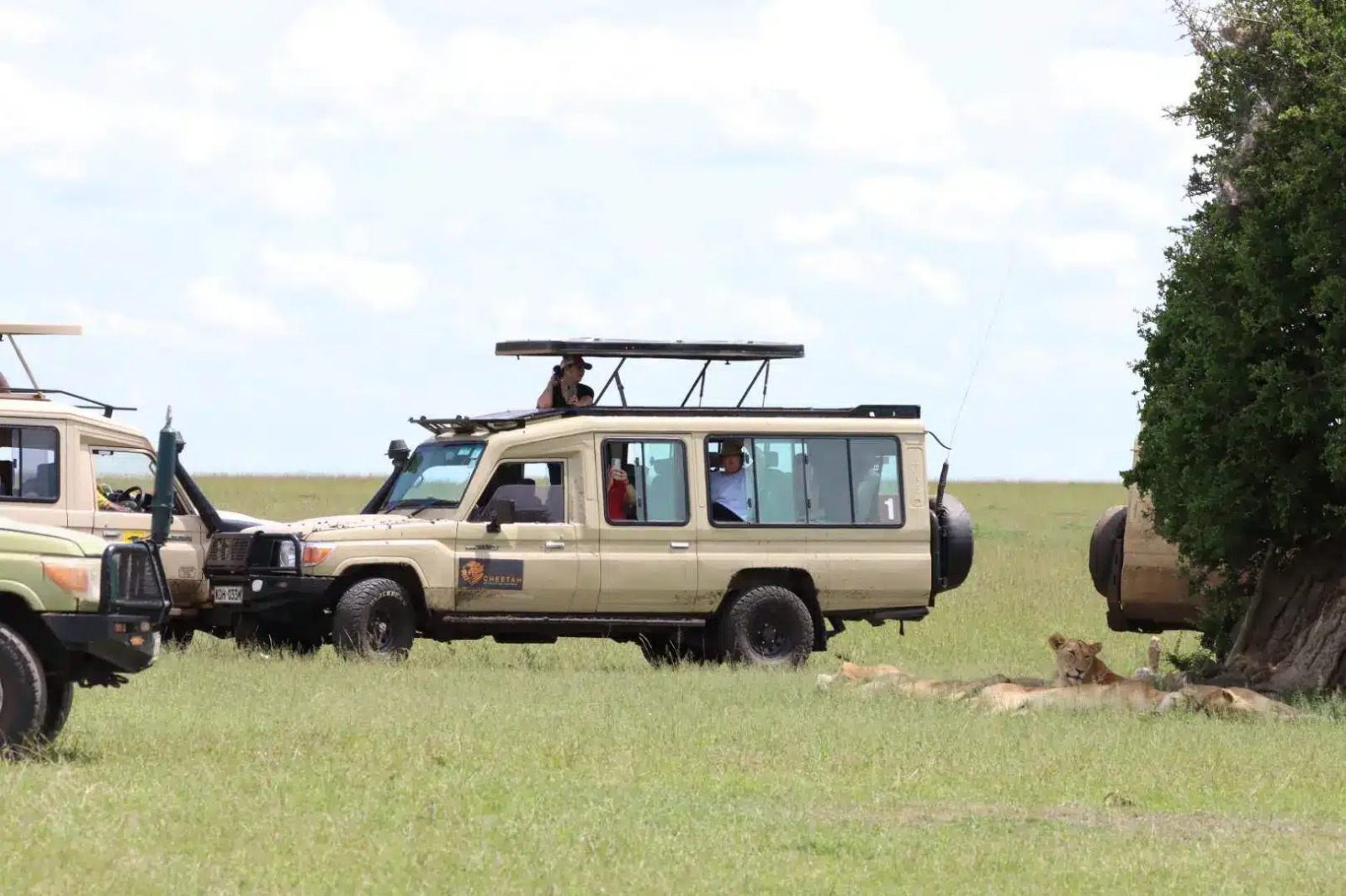 Private vs Group Safari: Which is Better for You?