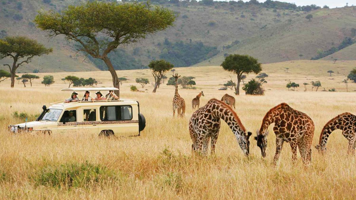 The Ultimate Kenya Safari Guide: Everything You Need to Know Before You Go