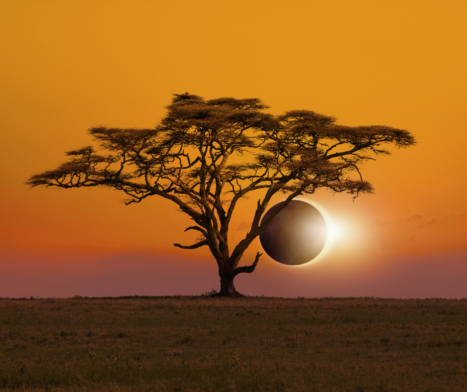Explore East Africa with Sublime Travel Limited: Best Safaris & Wildlife Tours