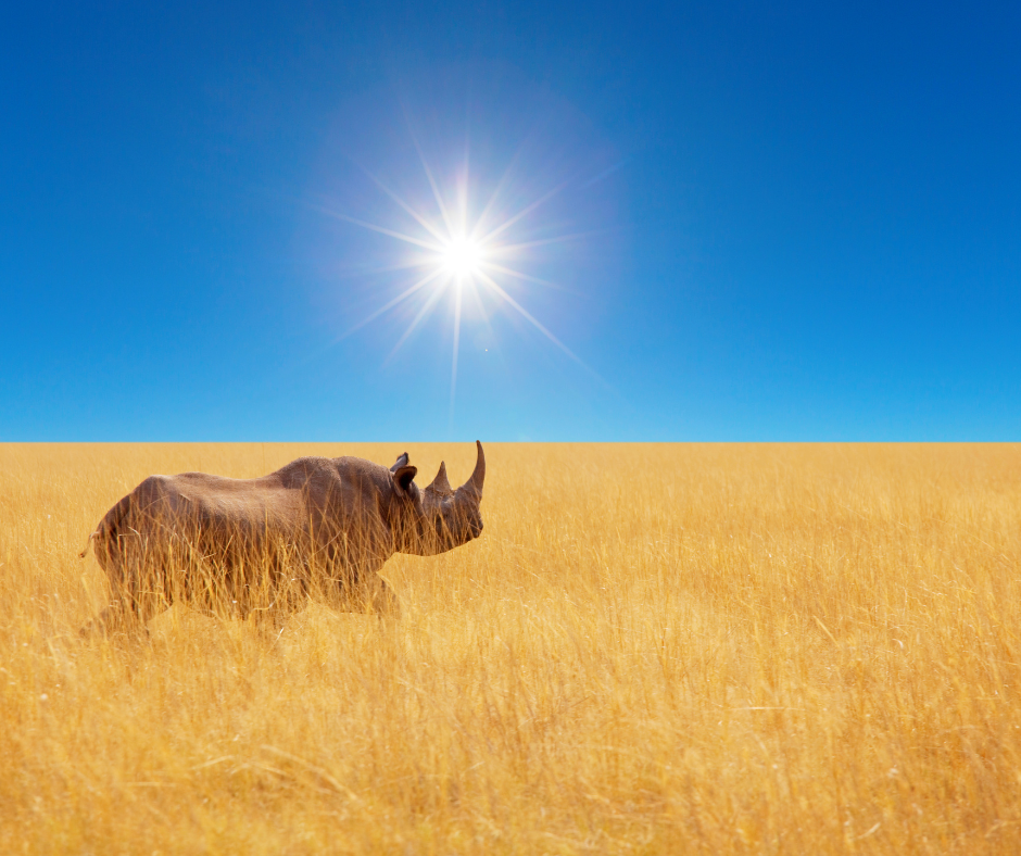 From the Mara Plains to Kilimanjaro Views: 6-Day Kenya Safari